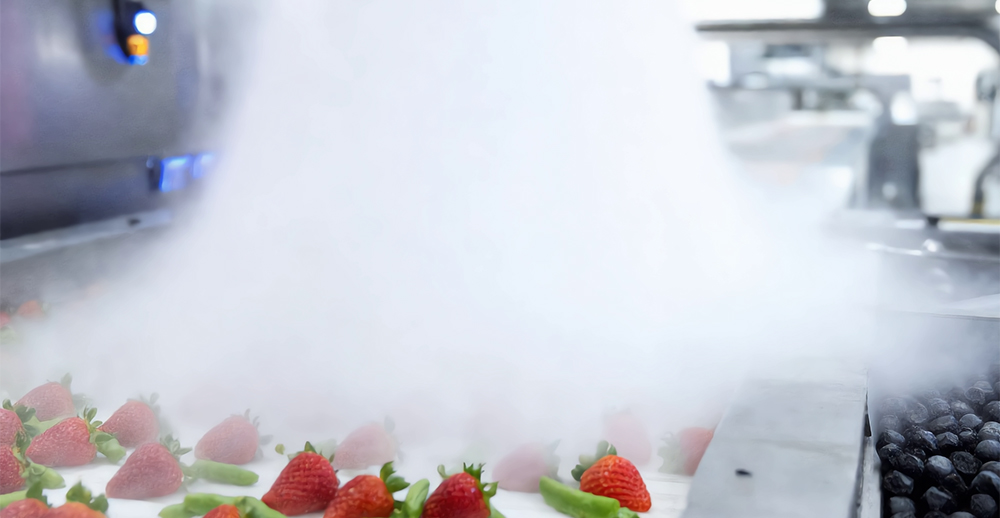 Alimentos y bebidas